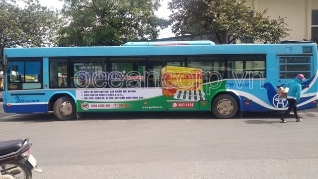 SILYMAX COMPLEX - THẢO DƯỢC QUÝ, TỐT CHO GAN