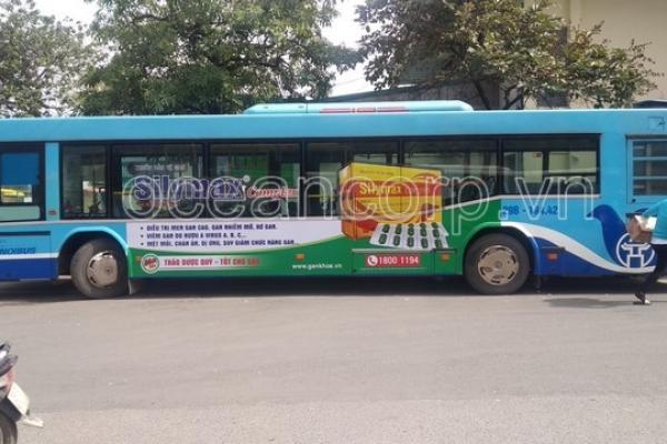 SILYMAX COMPLEX - THẢO DƯỢC QUÝ, TỐT CHO GAN